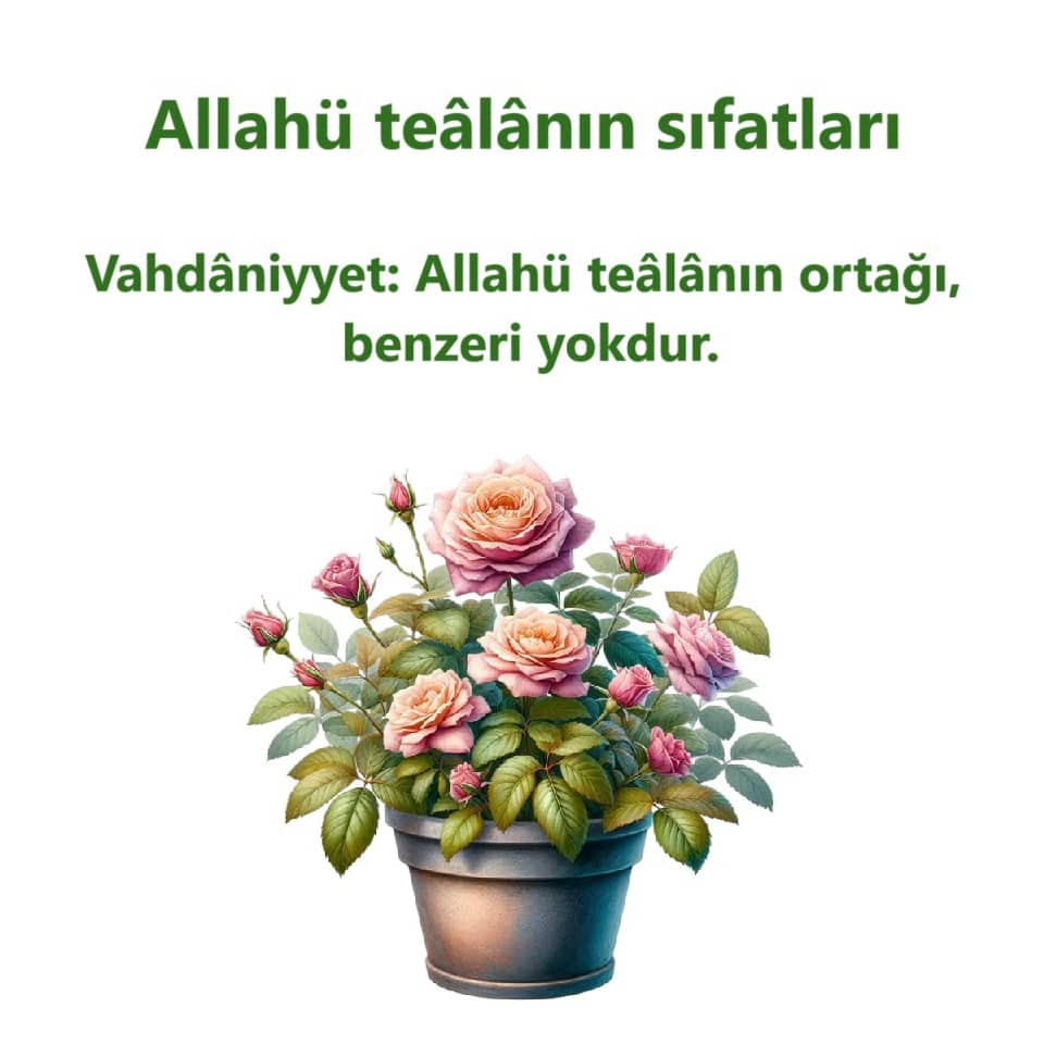 Vahdaniyyet (4)